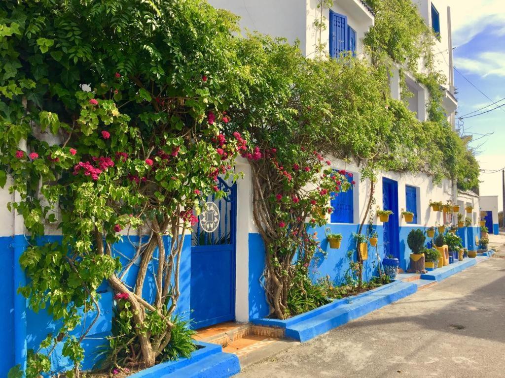 Apartamento chez souad Oualidia Habitación foto